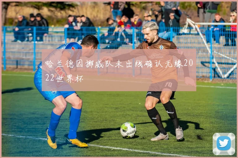 哈兰德因挪威队未出线确认无缘2022世界杯