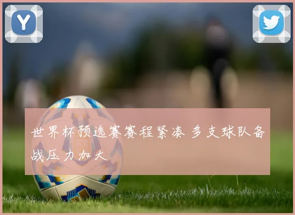 世界杯预选赛赛程紧凑 多支球队备战压力加大
