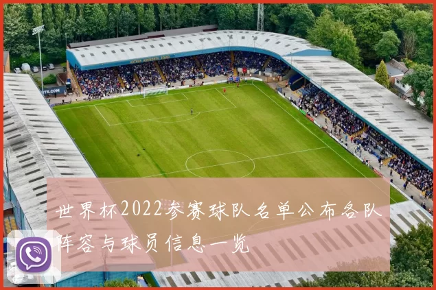 世界杯2022参赛球队名单公布各队阵容与球员信息一览