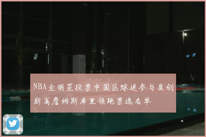 NBA全明星投票中国区球迷参与度创新高詹姆斯库里领跑票选名单